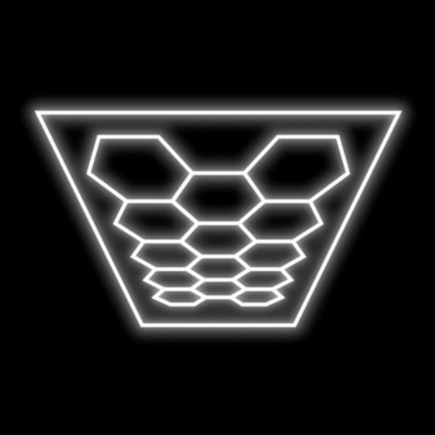 Hexagon LED lighting 14 GRID with border